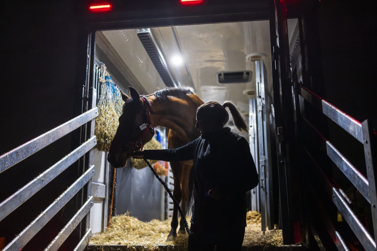 Hodgson's Ltd horse being unloaded at night