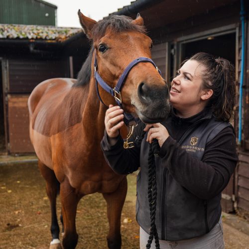 Expert equine handler with a horse at Hodgson's Ltd M6 Transit Hub stables in Carlisle.